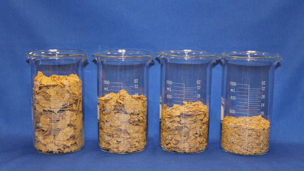 Cereal flake size influences calorie intake | Penn State University